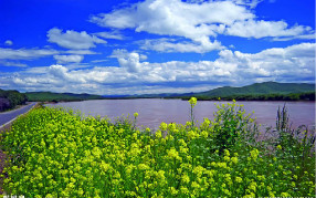 飲用凈水器的水究竟是否會(huì)導(dǎo)致?tīng)I(yíng)養(yǎng)缺乏？